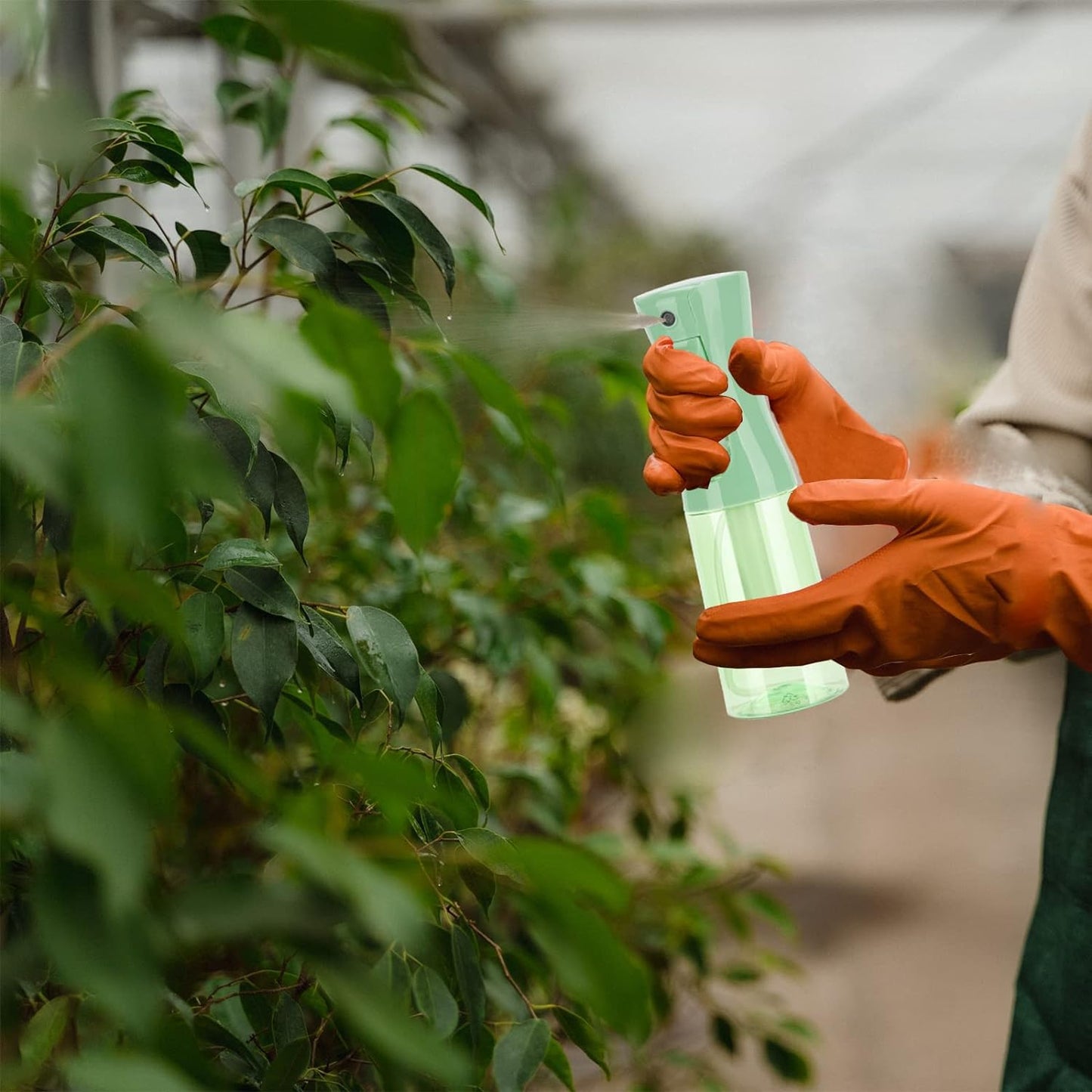 Zuhose Spray Bottle for Hair (6.8OZ /200ML) Continuous Ultra Fine Mist Sprayer for Hair, Salons, Barber, Plants, Skin Care, Cleaning 1 Pack CLEAR