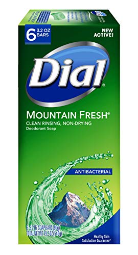 Jabón Antibacterial en Barra Dial, Frescura de Montaña, 3.2 Onzas, Paquete de 6 Barras - imagen 2