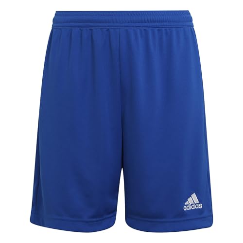 Shorts Adidas Entrada 22 para Niños Unisex Color Azul Real Talla Mediana - imagen 4