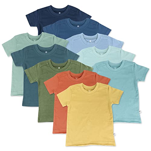 Camisetas de manga corta HonestBaby 10-Pack 100% algodón orgánico para bebés, niños pequeños y niños, unisex, Rainbow Gems Blues, 2T - imagen 1